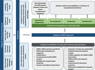 Using Omics to Study Leprosy, Tuberculosis, and Other Mycobacterial Diseases